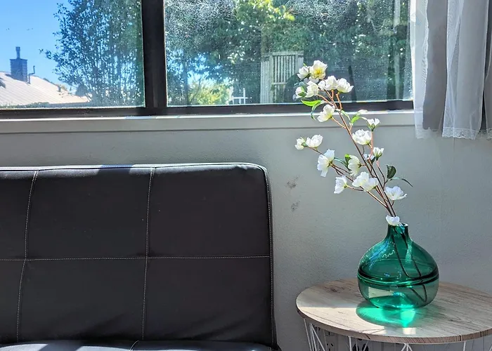 A Home With Spa Pool & Ride To Redwood Forest *